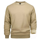 TACVASEN Thermal Fleece Sweatshirts Mens Casual Crewneck Sweatshirt Autumn Winter Warm Hoodie Workout Athletic Pullover Tops