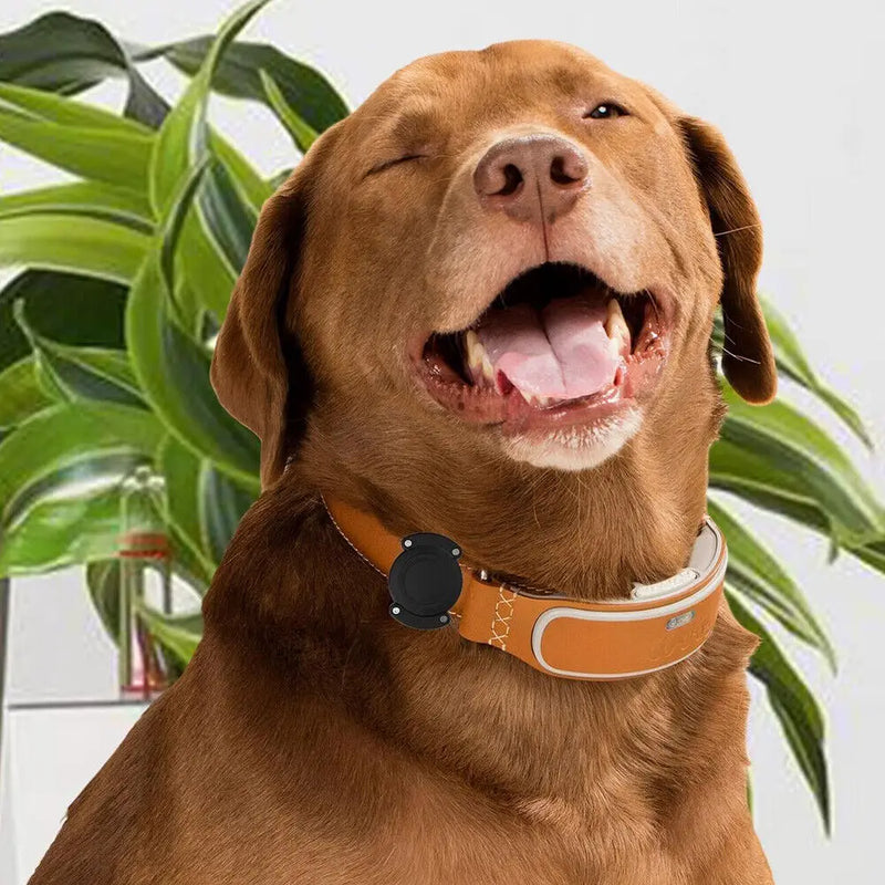 Fashion Dog Collar With Apple Air tag Case Nylon Pet Collar Reflective Soft Anti-lost Tracking Collar Dog Supplies Suit For Dog