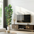 The Evergreen Statement | 5-7ft Artificial Fiddle Leaf Fig Tree