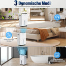 Anion purification dehumidifier home bedroom Silent automatic defrost basement clothes drying LED touch screen deshumidificador