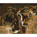 46426932445407|46426932478175|46426932510943|46426932543711|46426932576479