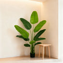 Artificial Bird of Paradise Plant 180cm with 11 Silk Banana Leaves Faux Plant Indoor Decor Trees with White Pot for Home