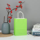 The Brown Standard | Premium Kraft Gift Bags with Handles (10-Pack)