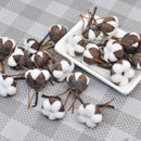 12 Artificial Kapok Natural Dried Flowers Simulation Cotton Wedding Room Easter Decoration Supplies DIY Wreath Bouquet Gift Box