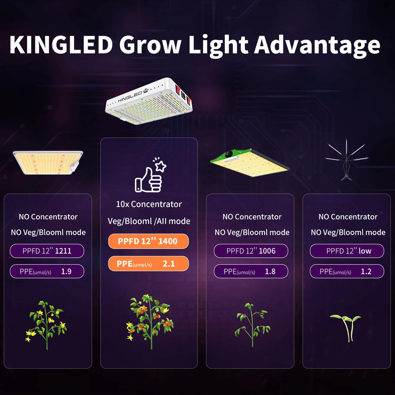 KINGLED Led Grow Light 1000W/2000W/3000W/4000W full spectrum Phytolamp for plants in grow tent greenhouse grow box