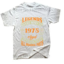 45568126058719|45568126484703|45568126517471|45568126550239|45568126583007