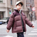 44443888451807|44443888484575|44443888517343|44443888550111|44443888582879