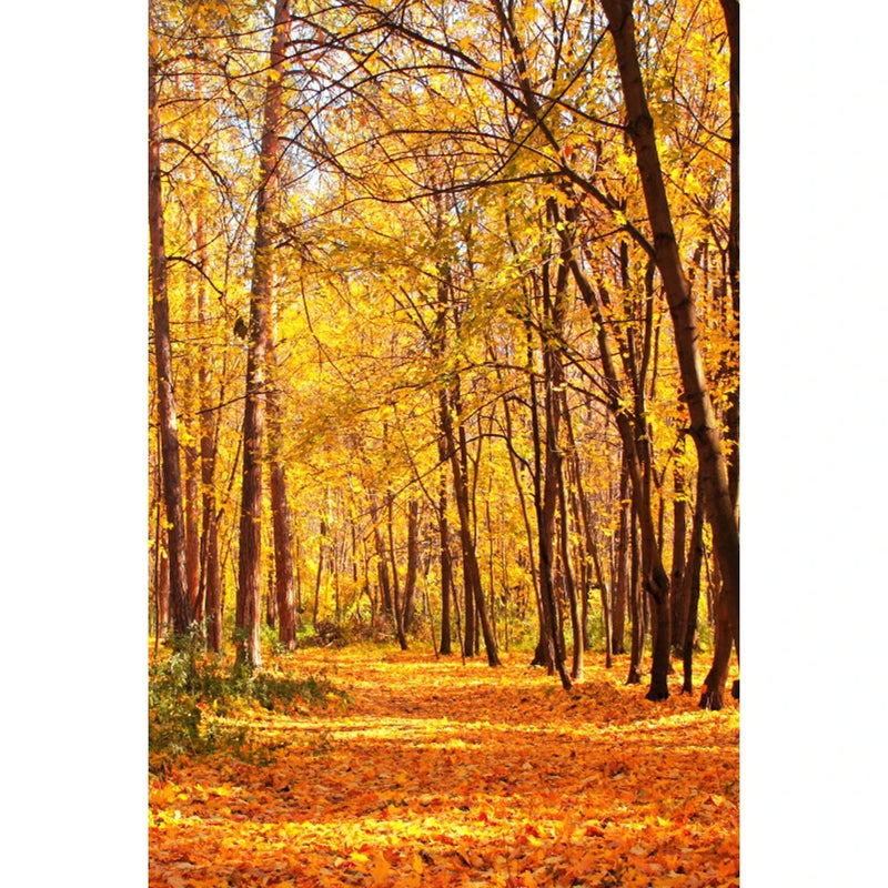 Autumn Landscape Backdrop Fall Forest Maple Fallen Leaves Nature Scenery Harvest Thanksgiving Portrait Photography Background