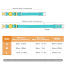 Transparent Buckle Collar Candy Color Pet Cat Dog Collars Leashes For Small Medium Dogs