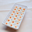 21Pcs/Box Class A Preserved Austin Flower Roses Immortalized Real Flowers Roses Wedding Party Mother'S Day Gift Decorations
