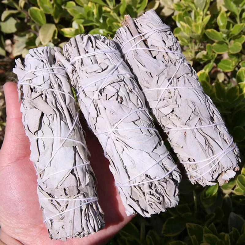 10cm White Sage Bundle California Smudge Stick Wand for Spiritual Incense Sticks Burning Aromatherapy Energy Cleansing Bundles