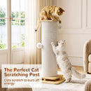 The Claw Horizon | 3-in-1 Sisal Cat Activity Tower