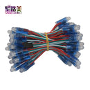 50pcs DC 5V input WS2811 Full Color LED Pixel Light Module 12mm IP68 waterproof RGB color 1903IC Digital LED christmas Light