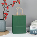 The Brown Standard | Premium Kraft Gift Bags with Handles (10-Pack)