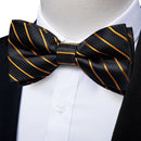 DiBanGu Mens Adjustable Silk Suspenders Bow Tie Cufflinks Pocket Square Set Metal Clips Y back Elastic Braces Wide Strap 3.5CM