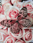 HUACAN 5D Diamantmalerei Neuheiten Tier Diamant Stickerei Kreuzstich Schmetterling Strasssteine Vollmosaik Heimdekor