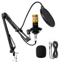 Bm800 arm articulated microphone for PC Brazil consumer electronics arm ARM ARM ARM ARM articulated microphone