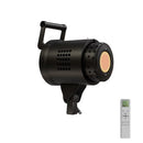 SH 135W Photography Studio Strobe Flash Light Mount Monolight for Wedding Portrait Advertis Photography Studio Shooting