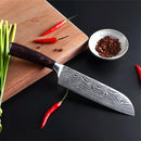 Carbon Steel Santoku Kitchen Knife for Home Restaurant Razor Sharp Japanese Chef Ergonomic Handle