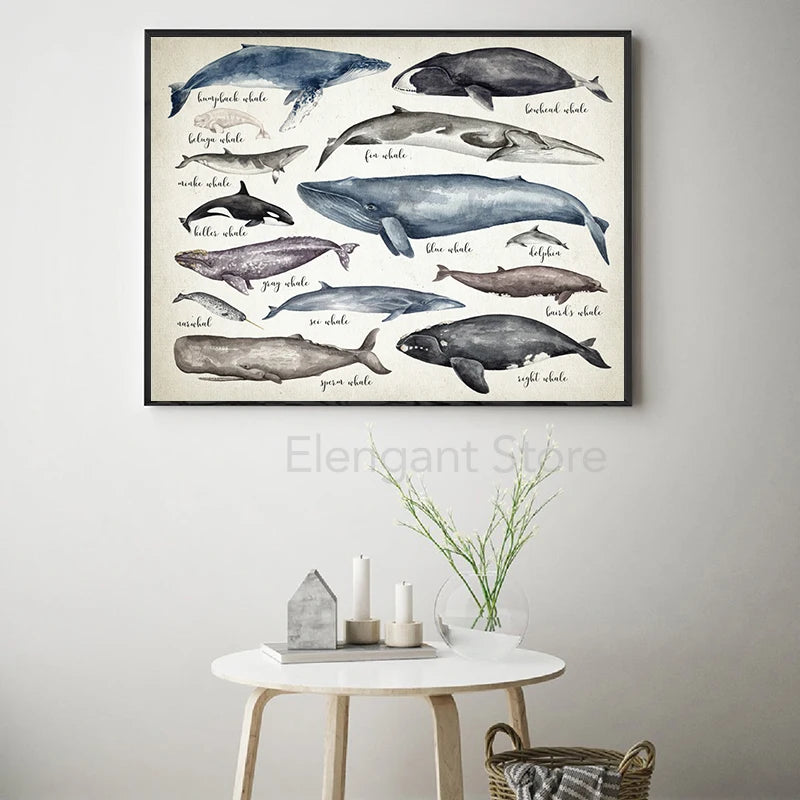 Whales Size Comparison Chart Print Whale Watercolor Painting Child Educational Poster Nursery Wall Art Pictures Kids Room Decor