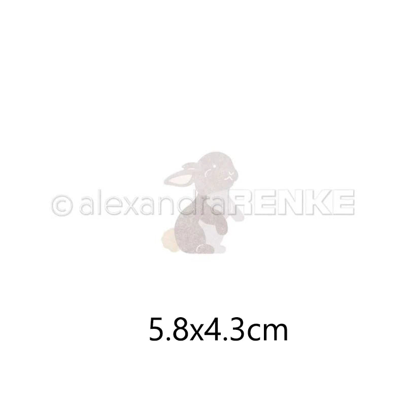 Piggy Craft metal cutting dies cut die mold The new series of Easter Scrapbook paper craft knife mould blade punch stencils dies