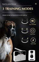 The Boundary Keeper | Intelligent Wireless Pet Containment System for Up to 3 Dogs