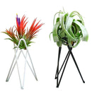 1 Pcs Air Plant Holder Metal Flower Pot Stand Geometric Iron Tillandsia Display Art