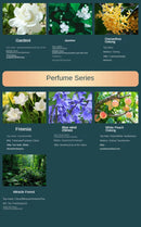 Shangri-La Hotel Series | 500ml Essential Oils for Candle & Diffuser