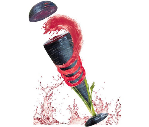 Purple Carrot Extract