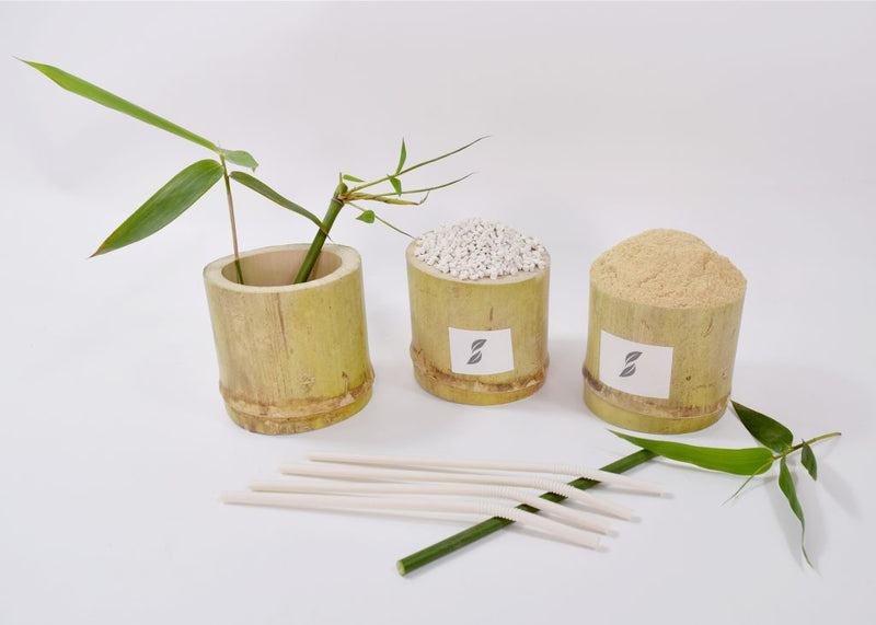 Biodegradable drinking straws BBM-P01