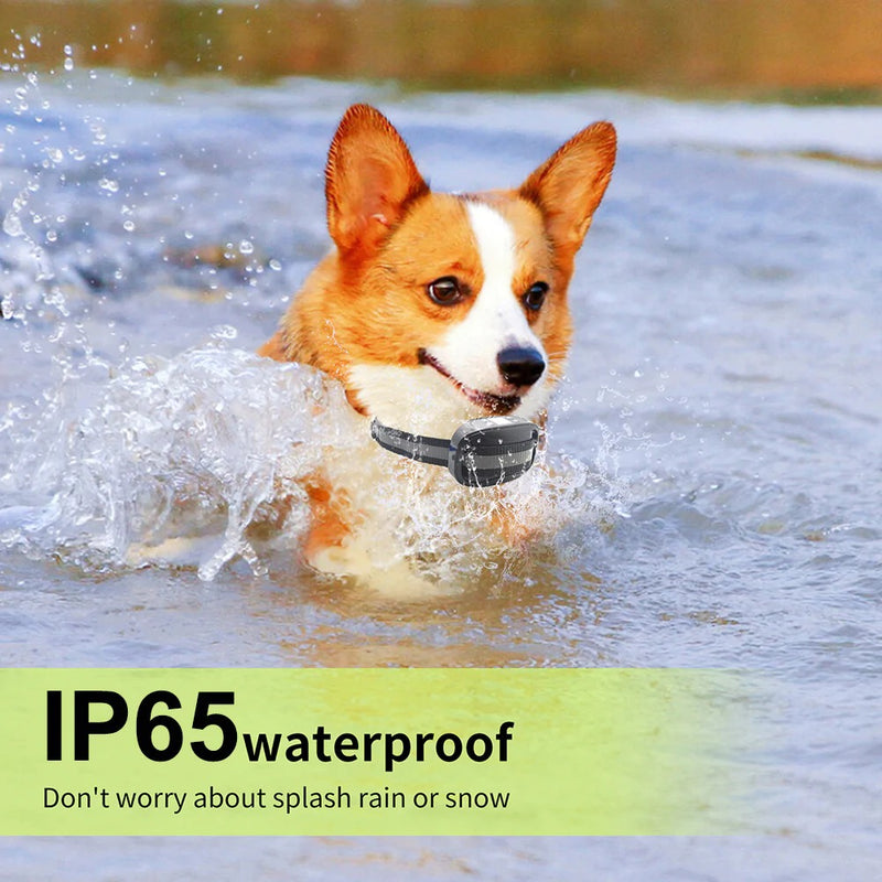 GPS Wireless Dog Fence Pet Containment System Wasserdichte Trainingshalsbänder