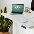 RAY OAK ELECTRIC STANDING DESK