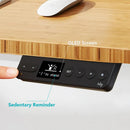 RAY BAMBOO ELECTRIC STANDING DESK