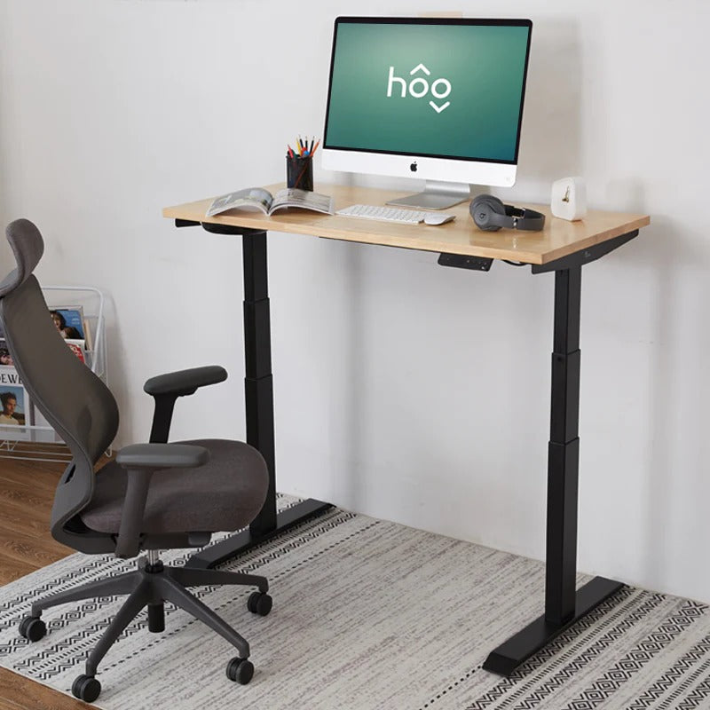 RAY SOLID WOOD ELECTRIC STANDING DESK