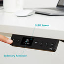 RAY OAK ELECTRIC STANDING DESK