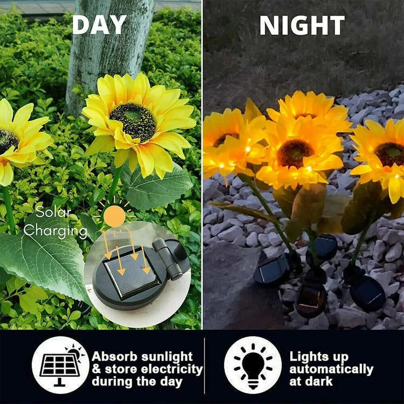 (2 paquetes de juego) Jardín solar para exteriores con luz LED mejorada con 20 LED de girasol a prueba de agua