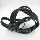 504129824  500341618 IVECO V-Ribbed Belts