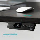 RAY BLACK OAK ELECTRIC STANDING DESK