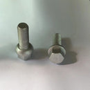 Accepting non-standard customization