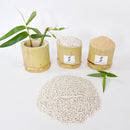Bamboo powder biological degradation materials toothbrush BBM-M014