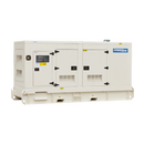 300KVA Diesel Generator 400V, 3 Phase: Powered by Perkins: WPS300S Side