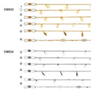 Glasses Chains & Strap CM001-040