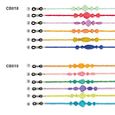 Glasses Chains & Strap CB001-028