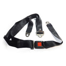 FEA005 Custom Seat Belt