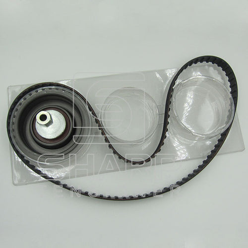 gm-ina-f555046-nytron-kit9024-timing-belt-kit