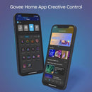 Tira de luces LED Bluetooth Govee RGBIC (65.6 pies)