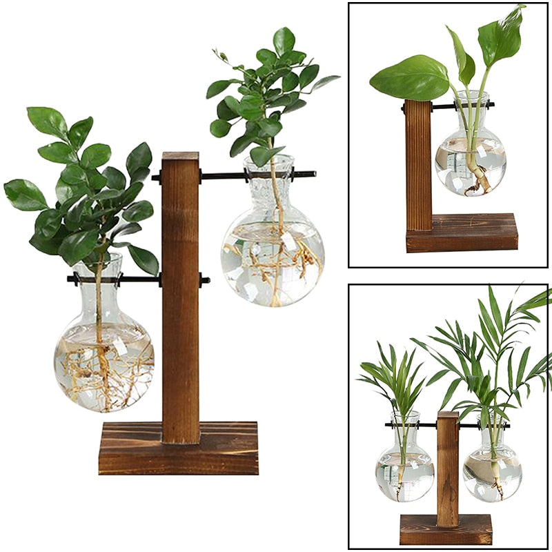Jarrones de plantas hidropónicas para terrario, maceta Vintage, jarrón transparente, marco de madera, mesa de cristal, plantas, decoración de bonsái para el hogar