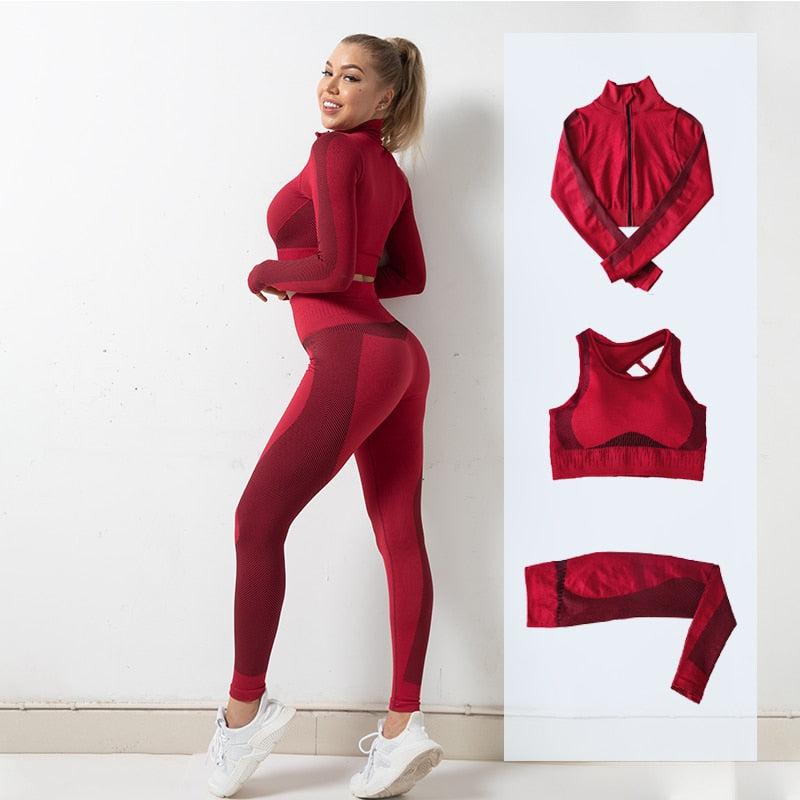 Seamless Yoga  Suits Women 2/3pcs Sets Fitness Sports Bras Long Sleeve Jacket High Waist Legging Gym Wear Running Clothing,LF261