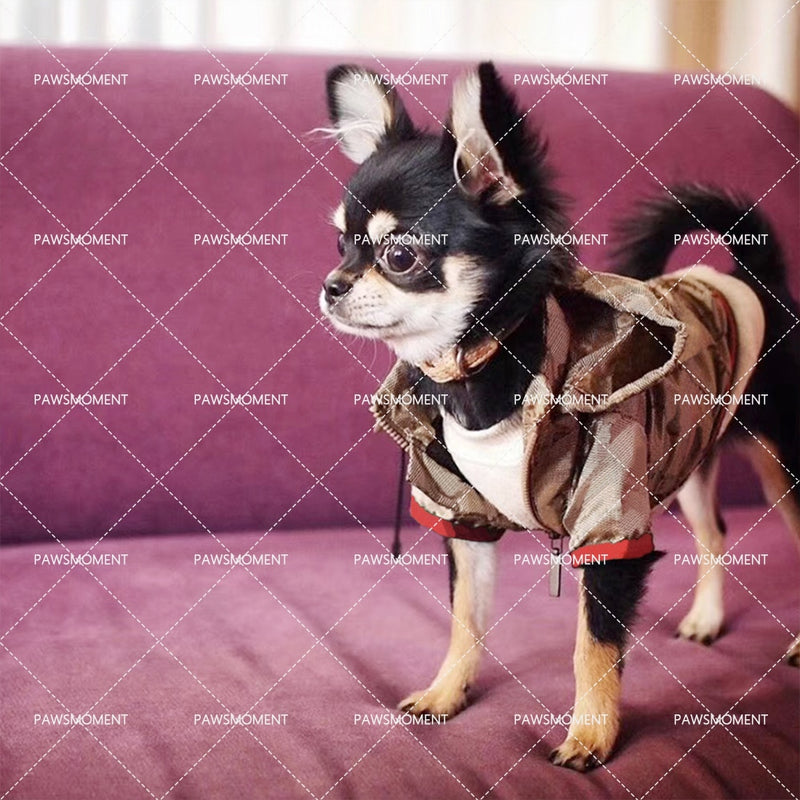Mode Haustier Hundekleidung für kleine Hunde Kleidung Französische Bulldogge Stickerei Jacke Hundezubehör Chihuahua Hoodies S-2XL PC1310