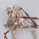 1Pcs Aquarium Human Skeleton Resin Fish Tank Skull Skeleton Resin Ornament Reptile Tank Fish Tank Aquarium Decoration